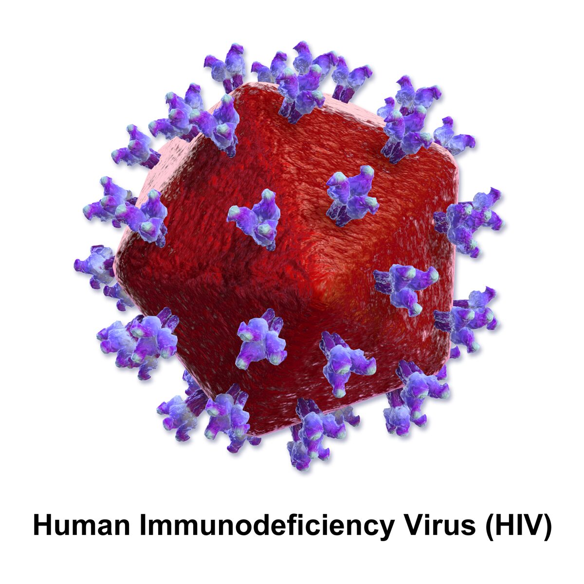 HIV and Antiretroviral Therapy